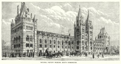 Museo de Historia Natural, South Kensington de English School
