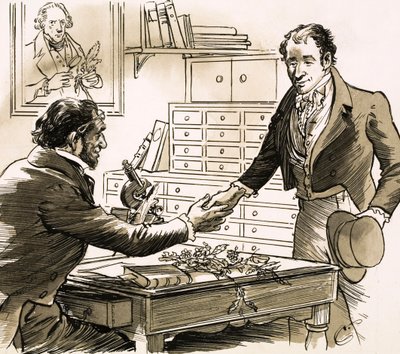 El naturalista David Douglas tuvo su oportunidad cuando fue elegido por la Sociedad de Horticultura de English School