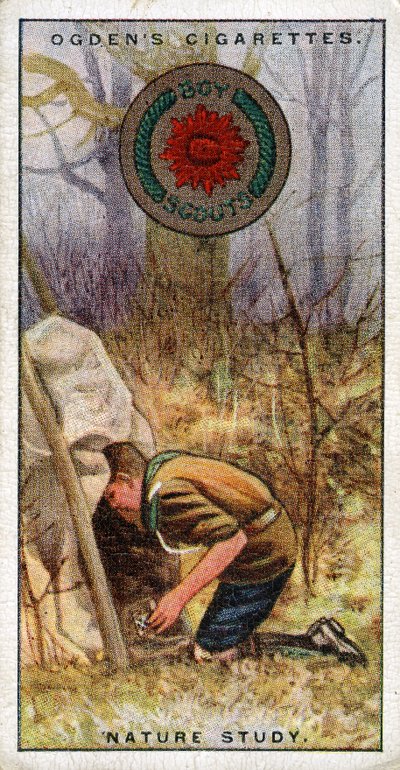Insignia de Estudio de la Naturaleza para Scouts, Scout entrando en un escondite, 1929 de English School