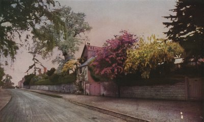 La belleza de la naturaleza revelada en color por la fotografía de English School