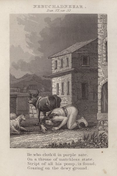 Nabucodonosor, Daniel VI, ver 32 (grabado) de English School