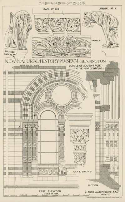 Nuevo Museo de Historia Natural, South Kensington, Londres de English School