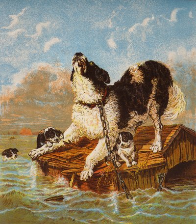 Perro y cachorros de Terranova en peligro (litografía en color) de English School