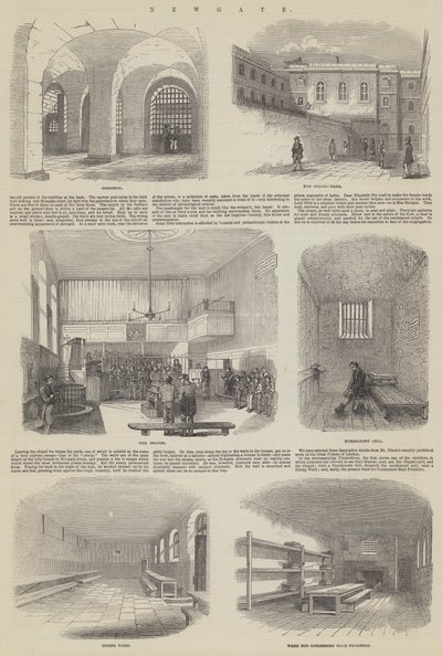 Newgate de English School