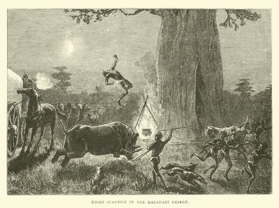 Sorpresa nocturna en el desierto de Kalahari de English School