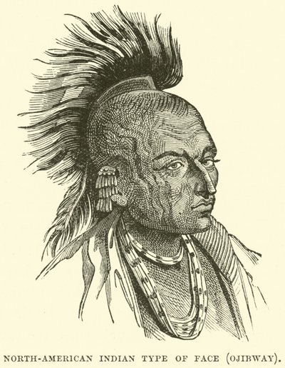 Tipo de rostro indio norteamericano, Ojibway de English School