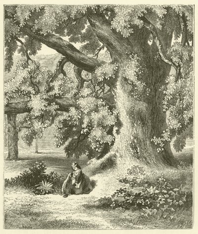 El viejo nogal de Mentmore (grabado) de English School