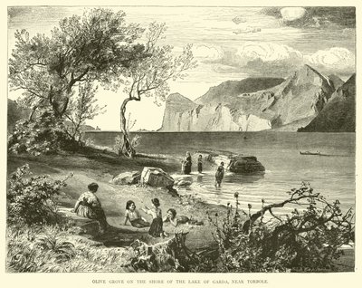 Olivares en la orilla del Lago de Garda, cerca de Torbole de English School