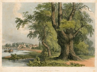 En el río Támesis, cerca de Putney, Londres de English School