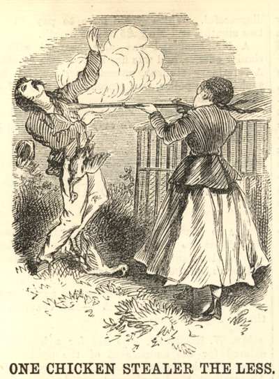 Un ladrón de pollos menos de English School