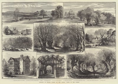 Apertura del Bosque de Epping por la Reina, Vistas en el Bosque de English School