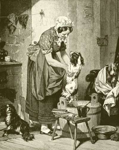 Orden del baño de English School