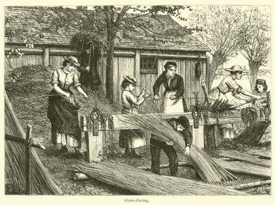 Pelado de mimbre de English School