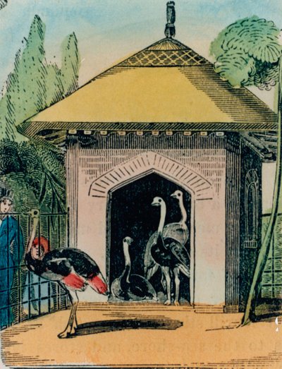 Casa de avestruces y emús en el zoológico de Londres. 1840s de English School