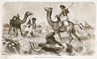 Caza de avestruces - el final de la persecución, ilustración de The Pictorial Edition of the Life and Discoveries of David Livingstone por J. Ewing Richie, pub. por A. Fullarton & Co., 1876 de English School