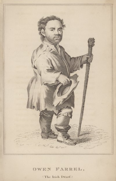 Owen Farrel, El Enano Irlandés de English School