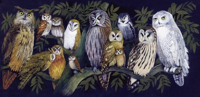 Búhos de English School