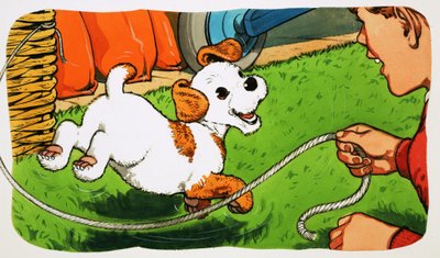 Paddy Paws de English School