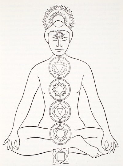 Padmasana o posición de loto de English School