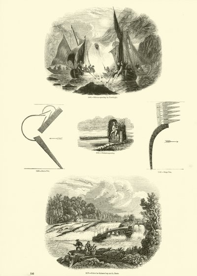 Página del Museo Pictórico de la Naturaleza Animada de English School