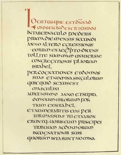Página de la Biblia Latina Amiatina de English School