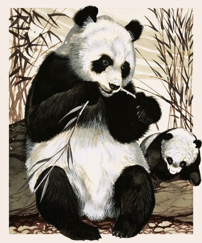 Panda y cachorro de English School