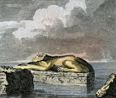 Parte de una esfinge egipcia hallada en las ruinas de la antigua ciudad de Canopus. de English School