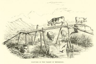 Pastos del Valle de Meyringen de English School