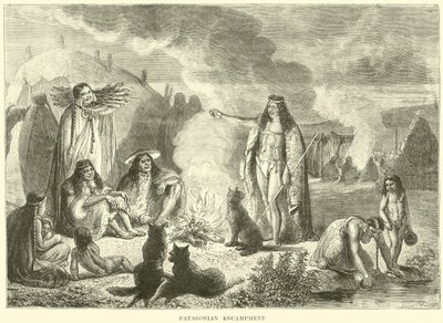 Campamento patagónico de English School