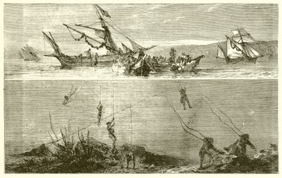 Pesca de Perlas de English School
