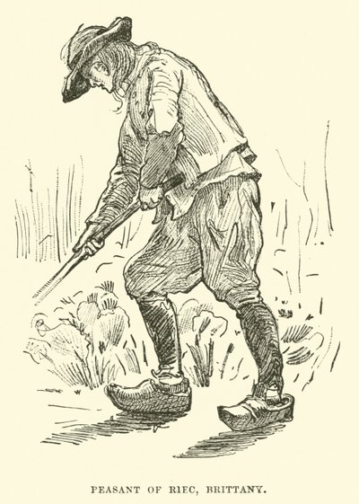 Campesino de Riec, Bretaña de English School
