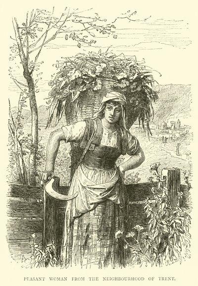 Campesina de los alrededores de Trento de English School