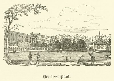 Piscina Peerless de English School