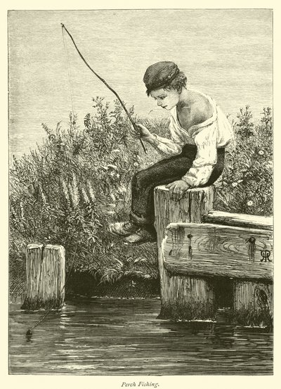 Pesca de perca de English School