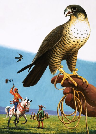 Halcón peregrino de English School
