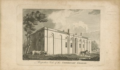 Vista en perspectiva del colegio veterinario de English School