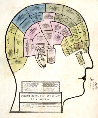 Cabeza y gráfico frenológico, pub. 1857 de English School