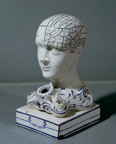Cabeza frenológica por el Dr. Frederick Bridges (porcelana) de English School