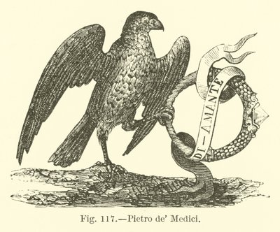 Pietro de Medici de English School