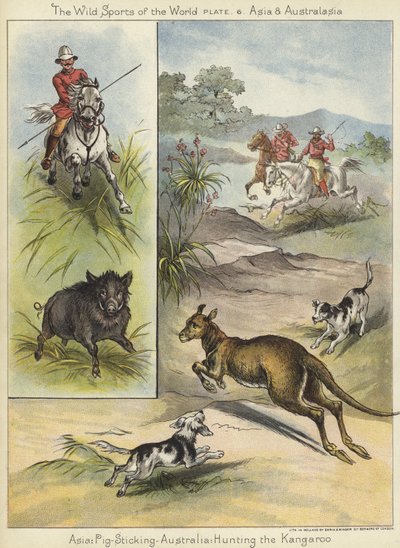 Caza de cerdos y caza del canguro de English School