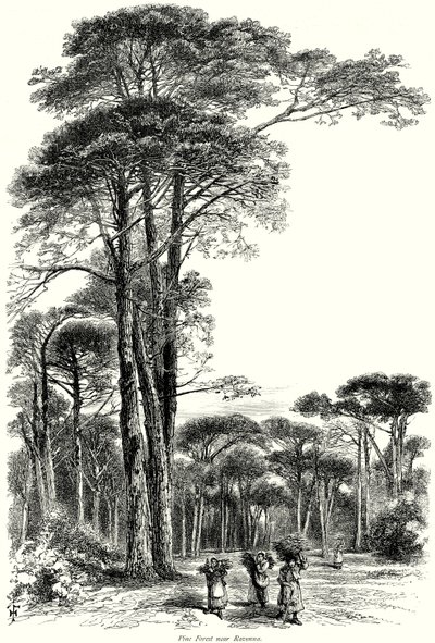 Bosque de pinos cerca de Rávena (grabado) de English School