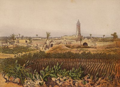 Lugares mencionados en la Biblia: Gaza, La Ciudad Vieja de English School