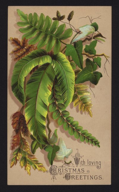 Hojas de plantas, tarjeta de felicitación navideña, finales del siglo XIX o principios del XX (cromolito) de English School