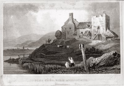Plas Crug, cerca de Aberystwyth, Cardiganshire de English School