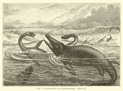Plesiosaurio e ictiosaurio de English School