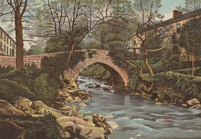Plymouth: Ivybridge, cerca de Plymouth (litografia en color) de English School
