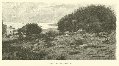 Punto Koura, Malta de English School