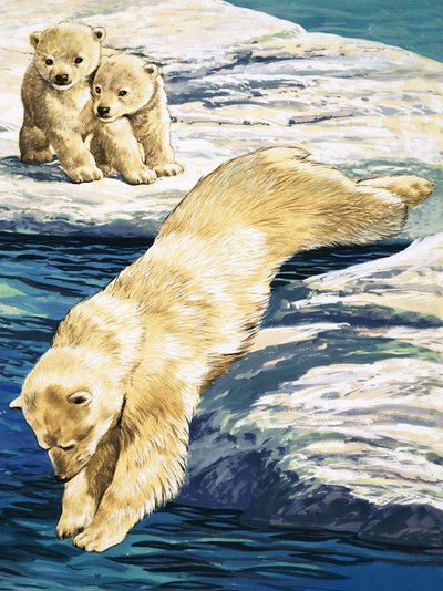 Oso polar y cachorros de English School
