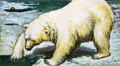 Oso polar pescando de English School