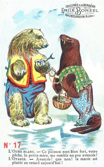 Oso polar y foca de English School